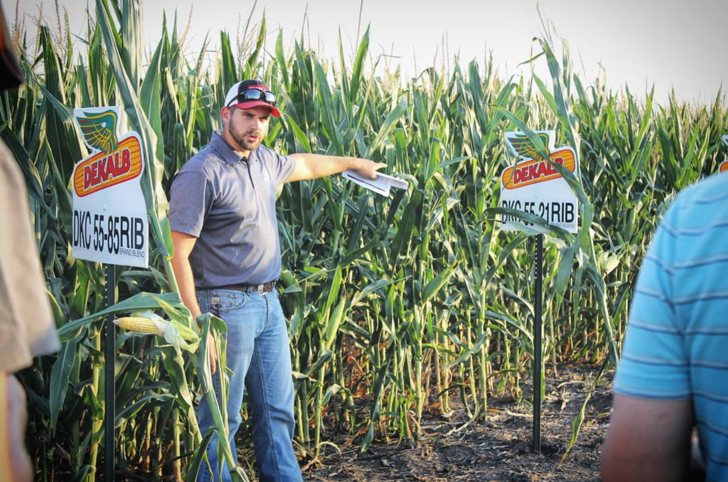 Agronomy Account Manager