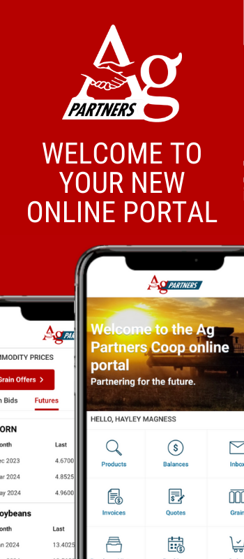 New Online Portal