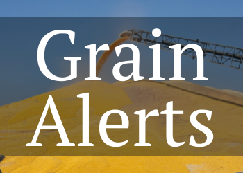 AGP Grain Alerts