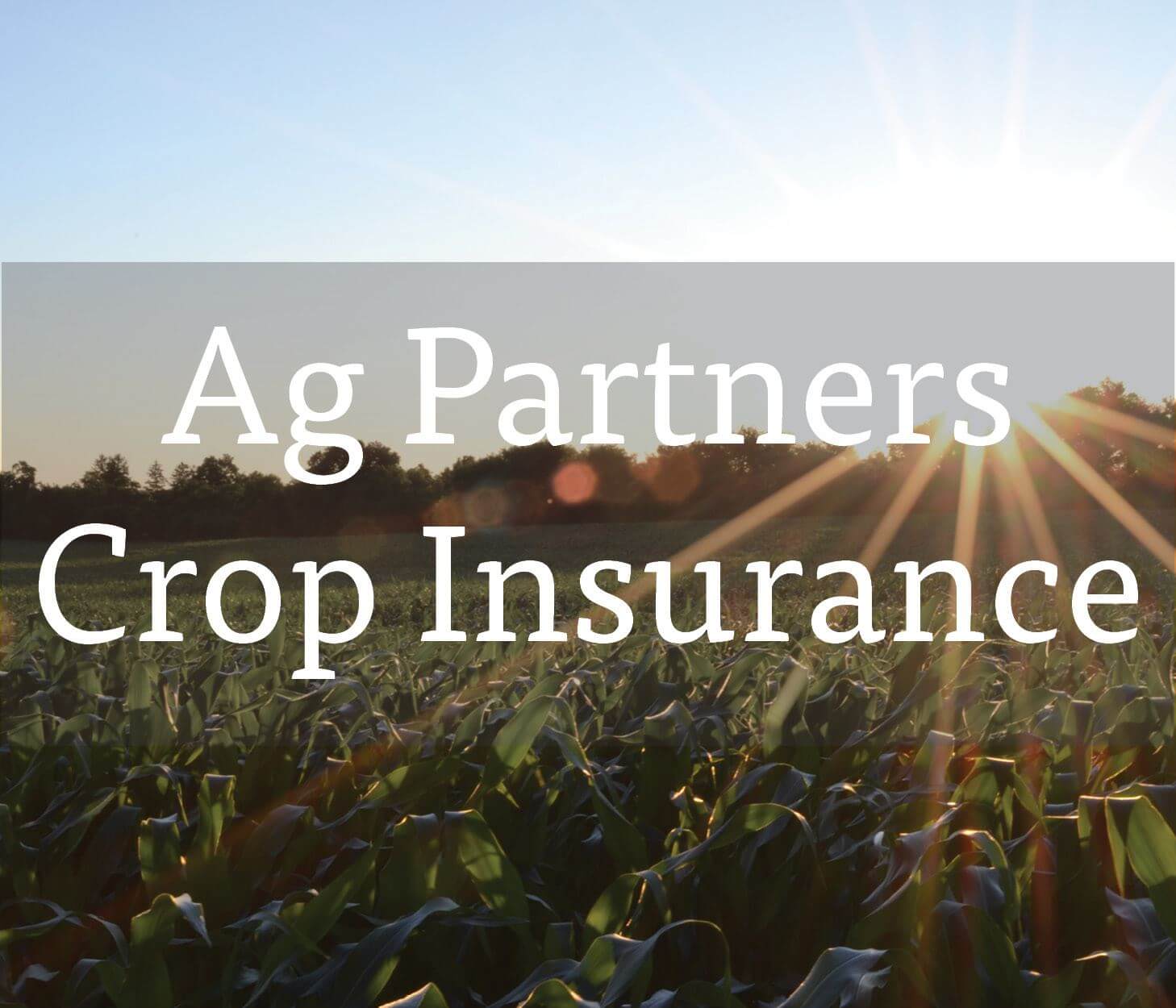 AG Partners Crop Insurance