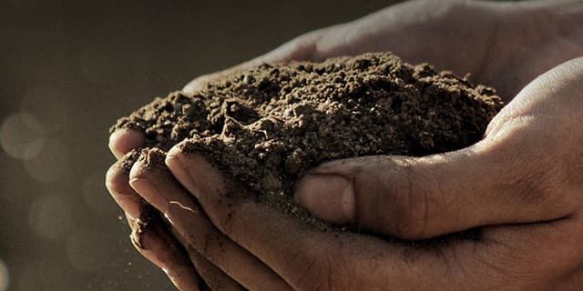 Your Soil is Only as Strong as its Weakest Link