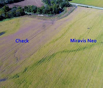 Miravis-Aerial-2019.jpg