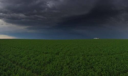 alfalfa-spring-storm-wide