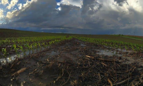 winter-farm-wide