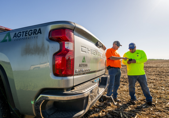 Content Image Alt Text