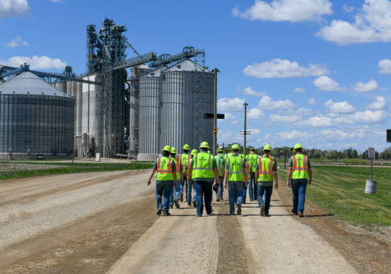 Content Image Alt Text