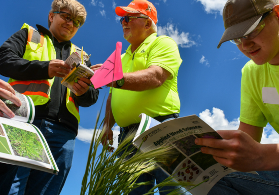 Content Image Alt Text