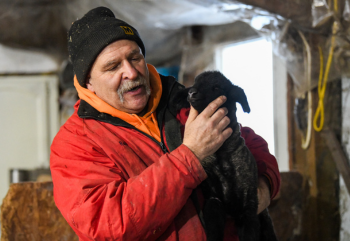 Ron Wolff holds a baby lamb