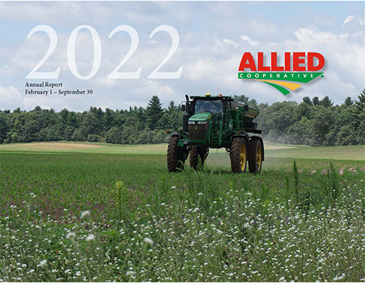 allied-annual-report-2021-cover