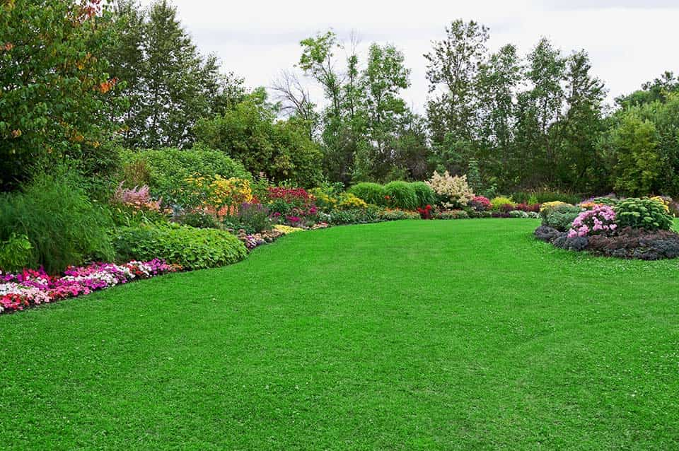 Beautiful Garden Borders