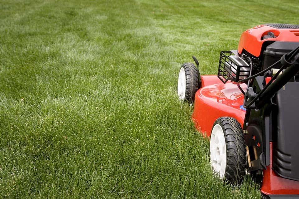 Mowing the Lawn