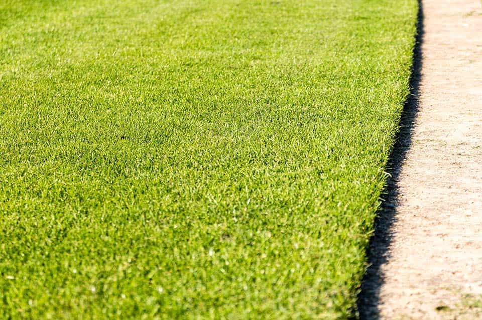 Perfectly Edged Lawn Perfectly Edged Lawn