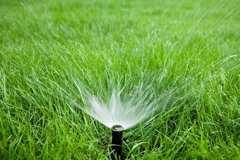 Lawn Sprinkler System