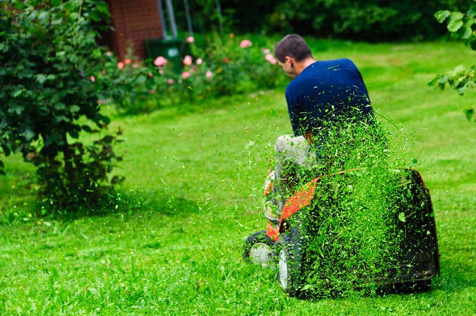 Busy Mowing the Lawn Busy Mowing the Lawn