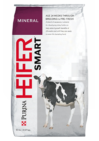 Purina® HEIFERSMART® DD Mineral