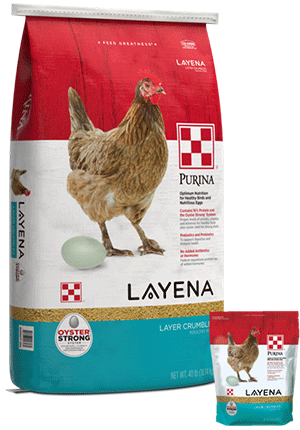 visual of purina layena crumbles small and large feed bags