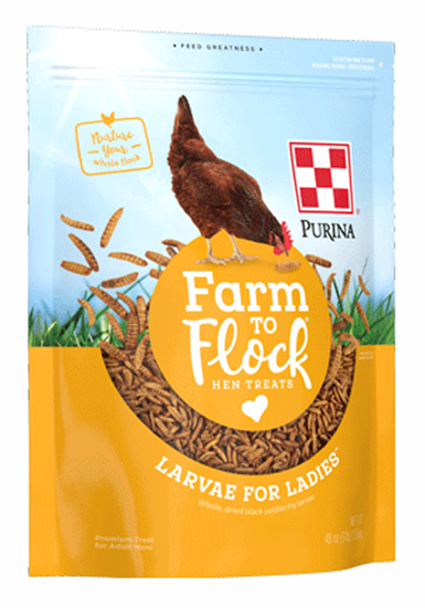 Purina® Farm to Flock® Larvae for Ladies™ Hen Treats