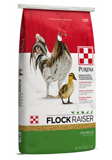 Purina® Flock Raiser® Crumbles