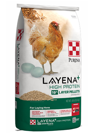 Purina® Layena® + High Protein 19% Layer Hen Feed