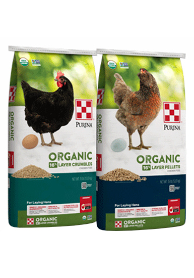 Purina® Organic Layer Pellets or Crumbles Hen Feed