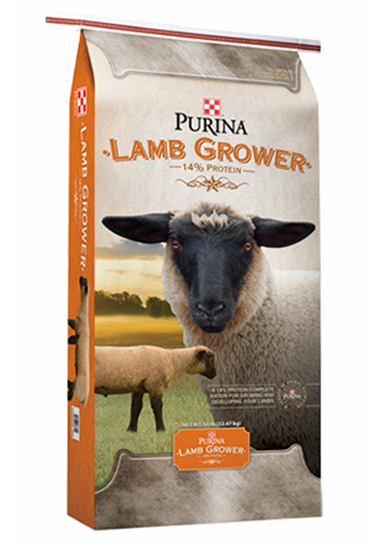 Purina® Lamb Grower