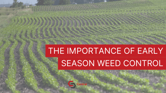The Importance of Early Season Weed Control