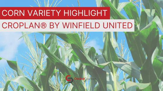 Corn Variety Highlight: CROPLAN� by WinField United