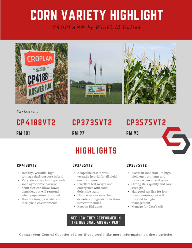 croplan-corn-variety-highlight-small-3.png
