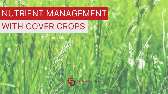 Nutrient Management With Cover Crops
