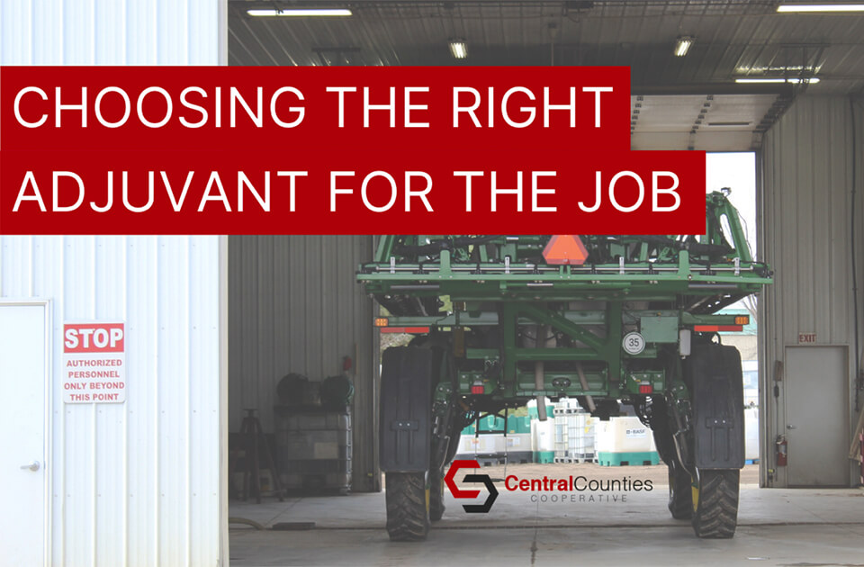 Choosing the Right Adjuvant for the Job