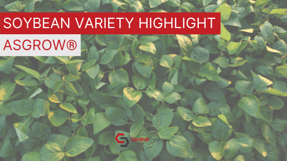 Soybean Variety Highlight: Asgrow�