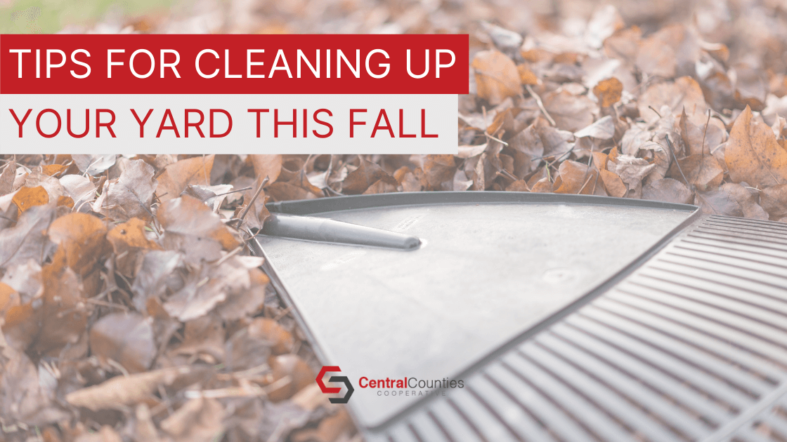 Tips for Cleaning up Your Yard this Fall