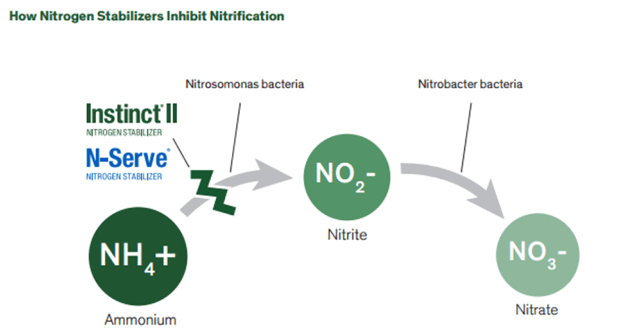 Microbial Instincts – Medium