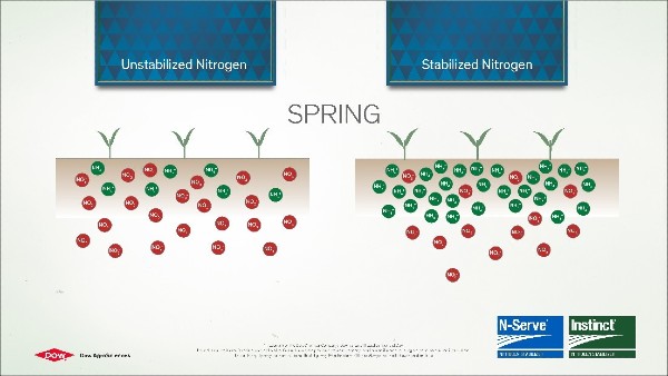 unstabilized-vs-stabilized-nitrogen-chart-600.jpg