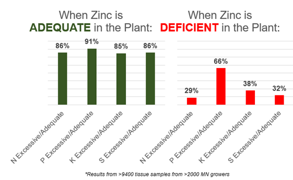 zinc-deficiency.png