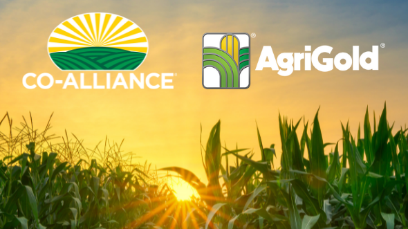 In 2021 Co-Alliance invested in the power of our seed portfolio by entering into a supply agreement with AgriGold to be the exclusive retail provider in our geography