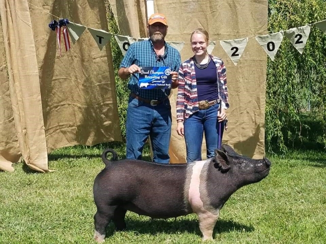 Allison-Abeldt-Breed-Champion-Breeding-Guilt-Frantz-Show-Pigs.jpg