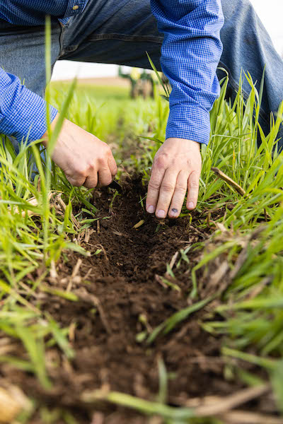 How to Increase Organic Matter Levels in Soil