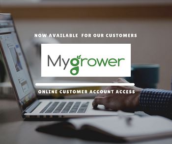 New Program for Online Customer Account Access