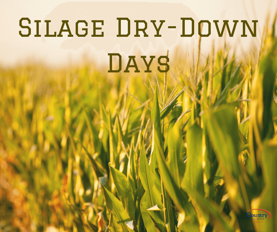 Silage Dry-Down Days - Eastern WI