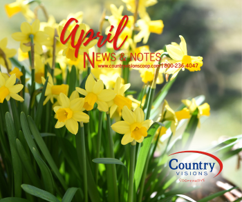 April Statement Advertising Insert