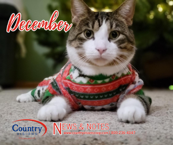 December Statement Advertising Insert