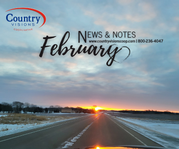 February Statement Advertising Insert