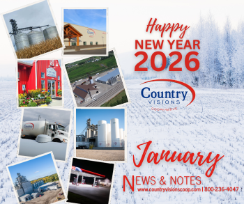 January Statement Advertising Insert