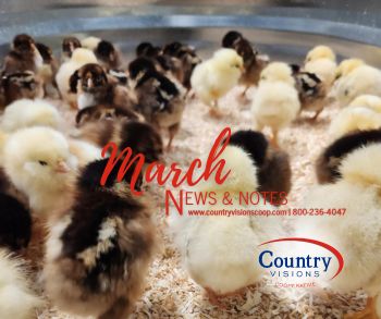 March Statement Advertising Insert