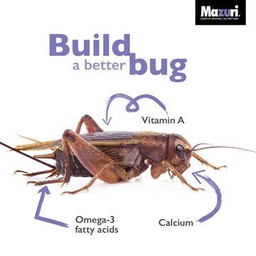 Better Bugs Means More Complete Diets