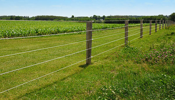 feed-electric-fence
