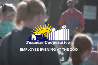 Evening at Zoo