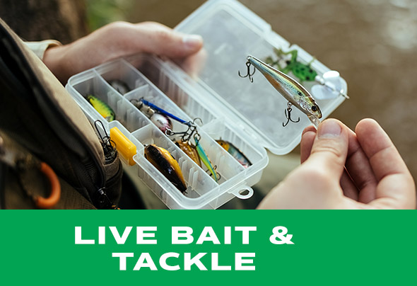 Live Bait & Tackle