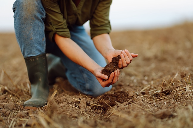 soil in farmer's hands in field
